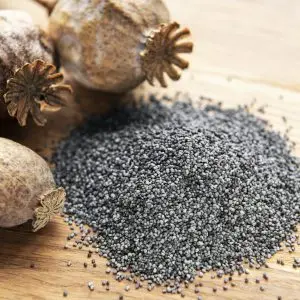 Maroon Standard - Organic Poppy Seeds