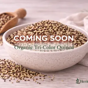 Organic Tri-Color Quinoa