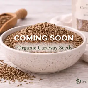 Organic Caraway