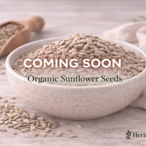 Organic Sunflower Hulled